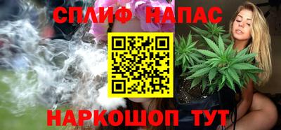 гашик Краснодар