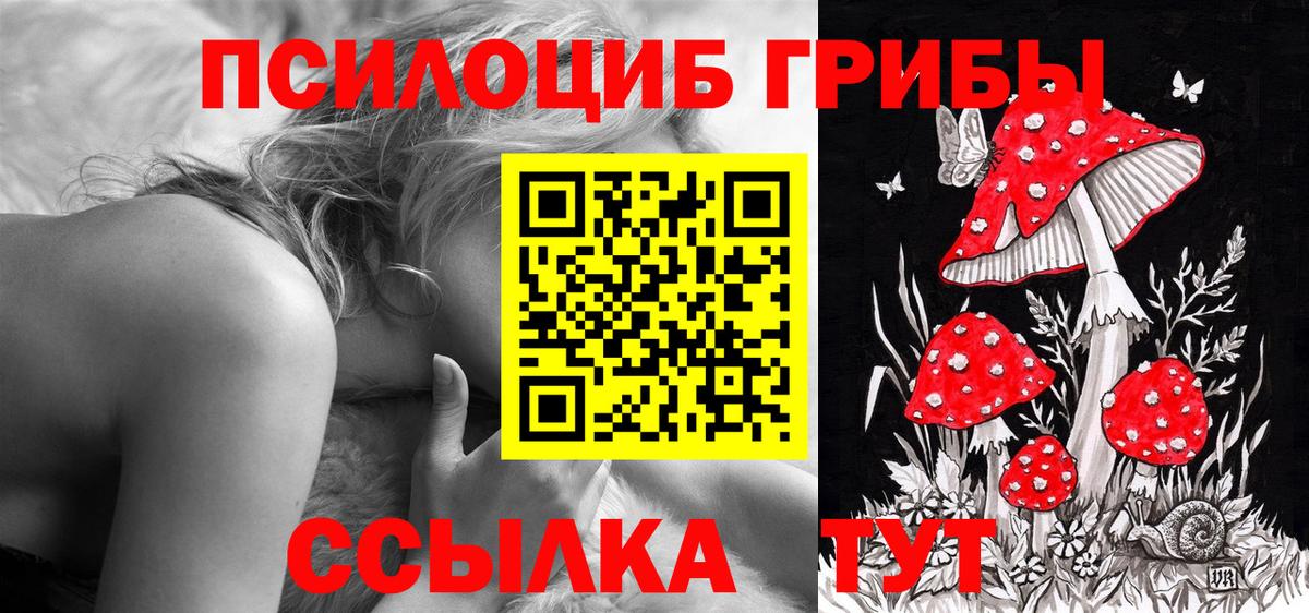 Псилоцибиновые грибы мицелий  наркотики  Псилоцибиновые грибы GOLDEN TEACHER  Калач-на-Дону  Вход с VPN 